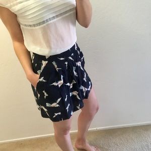 Hummingbird shorts